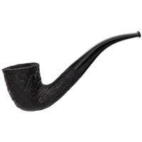 Ashton Brindle Bent Dublin (XX) (2026)