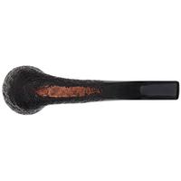 Ashton Brindle Bent Dublin (XX) (2026)