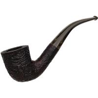 Ashton Brindle Bent Dublin (XX) (2026)