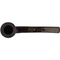 Ashton Brindle Bent Dublin (XX) (2026)