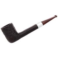 Ashton Brindle Canadian with Silver (XXX) (2026)