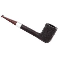 Ashton Brindle Canadian with Silver (XXX) (2026)