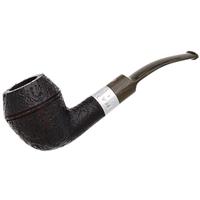Ashton Brindle Rhodesian with Silver (XXX) (2026)