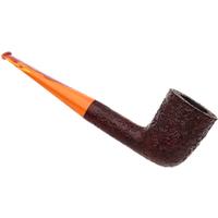 Ashton Brindle Dublin (XXX) (2026)