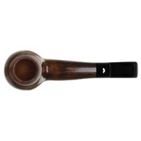 Caminetto Smooth Hawkbill (03) (AT)