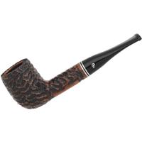 Peterson Dublin Filter Rusticated (107) Fishtail (9mm)