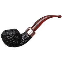 Peterson Christmas 2020 (999) Fishtail