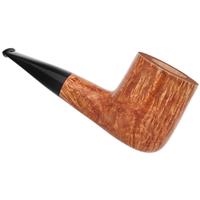 Radice Clear Pot (2026)