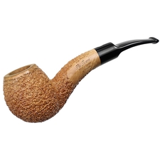 Ser Jacopo Rusticated Hawkbill (R2)