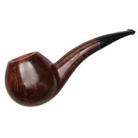 Ser Jacopo Smooth Hawkbill (L1)