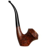 Ser Jacopo Smooth Rhodesian Sitter (L1) (A) (Maxima)