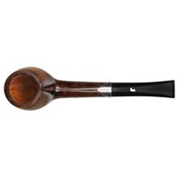 Ser Jacopo Picta Van Gogh Smooth Hawkbill with Silver (L1) (C) (14)