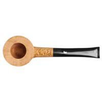 Ser Jacopo Spongia Rusticated Hawkbill (R2)