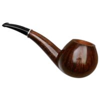 Ser Jacopo Smooth Hawkbill with Silver (L1) (A)