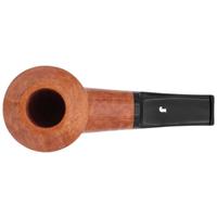 Ser Jacopo Smooth Rhodesian (L2)