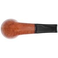 Ser Jacopo Smooth Rhodesian (L2)