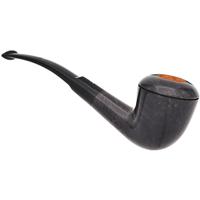 Ser Jacopo Smooth Rhodesian (L) (A) (Maxima)