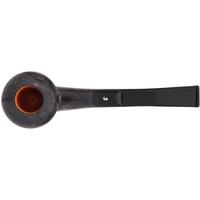 Ser Jacopo Smooth Rhodesian (L) (A) (Maxima)