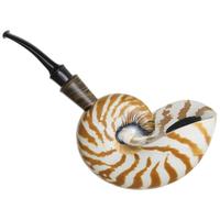 Todd Johnson Tiger Nautilus