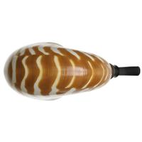 Todd Johnson Tiger Nautilus