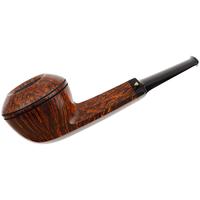 Kurt Balleby Smooth Rhodesian