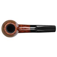 Tom Eltang Smooth Rhodesian