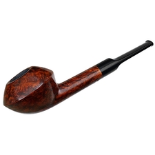 Sara Eltang Smooth Rhodesian