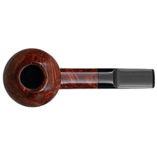 Sara Eltang Smooth Rhodesian