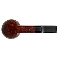 Sara Eltang Smooth Rhodesian