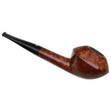 Sara Eltang Smooth Rhodesian (Foot)