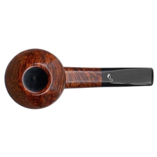 Sara Eltang Smooth Rhodesian (Foot)
