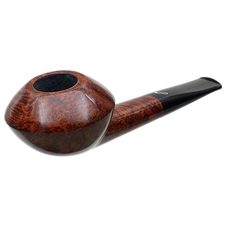 Sara Eltang Smooth Rhodesian (Foot)