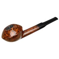 Sara Eltang Smooth Rhodesian