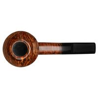 Sara Eltang Smooth Rhodesian