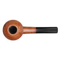 Sara Eltang Smooth Rhodesian