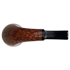 J. Alan Smooth Rhodesian (1212)