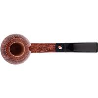 Claudio Cavicchi Brown Smooth Rhodesian