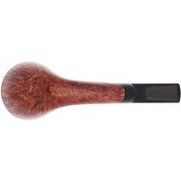 Claudio Cavicchi Brown Smooth Rhodesian