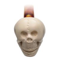 AKB Meerschaum Carved Laughing Skull (with Case)