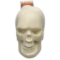 AKB Meerschaum Carved Skull Churchwarden (Kenan) (with Case)