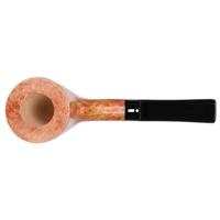 Jacono Rook Flamingo