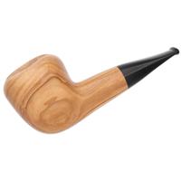 Jacono Olivewood Acorn (2025)