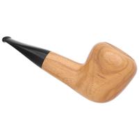 Jacono Olivewood Acorn (2025)