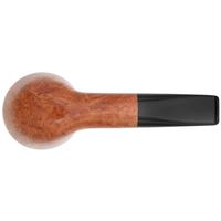 Jacono Rook Acorn (2025)