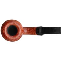 Jody Davis Smooth Smiling Acorn (Bishop) (B24) (22)