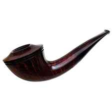 Ryan Alden Smooth Rhodesian