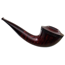 Ryan Alden Smooth Rhodesian