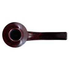 Ryan Alden Smooth Rhodesian