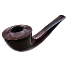 Ryan Alden Smooth Rhodesian