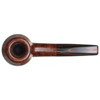 Mike Sebastian Bay Smooth Rhodesian